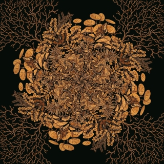 An elaborate black and yellow woodcut of moths, butterflies, cicadas, venus flytraps, and other plants.